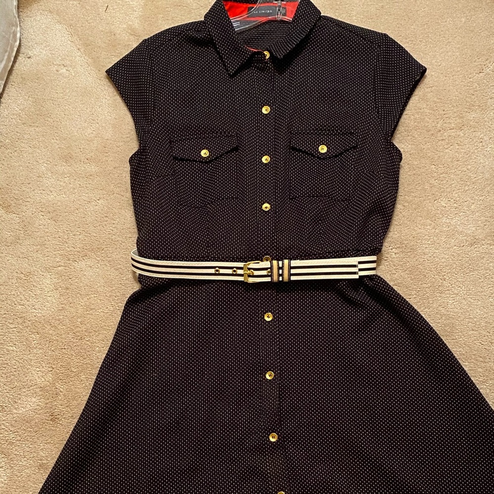 The Limited dress